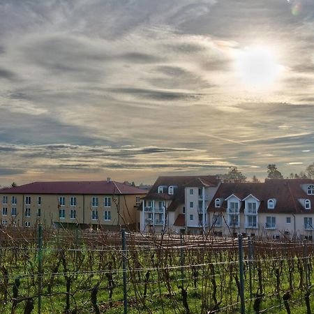 Das Prinzregent Edenkoben Exterior foto